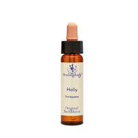 BACHBLÜTEN Holly Healing Herbs Tropfen