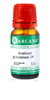 ANETHUM graveolens LM 13 Dilution